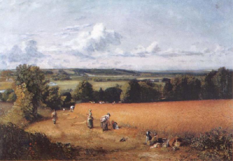 John Constable The wheatfield China oil painting art